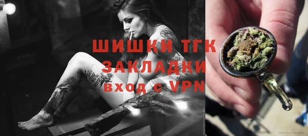 молекула духа Осташков