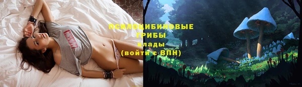прущая мука Заволжск
