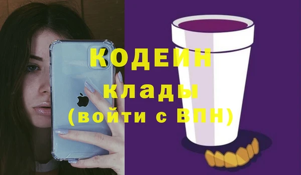 молекула духа Осташков