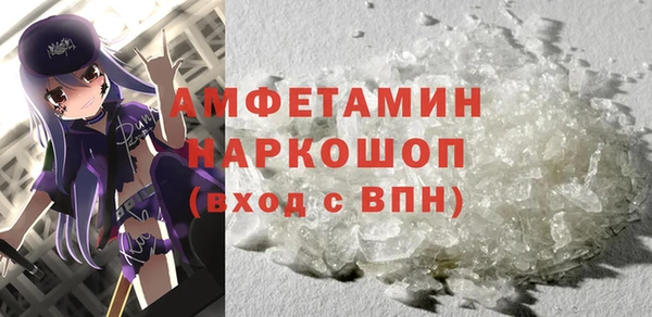 молекула духа Осташков