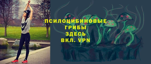 дурь Зеленокумск
