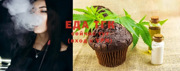 молекула духа Осташков