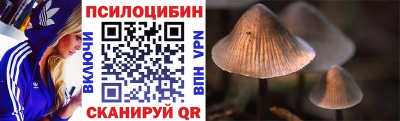 ОМГ ОМГ tor Канск Псилоцибиновые грибы мицелий