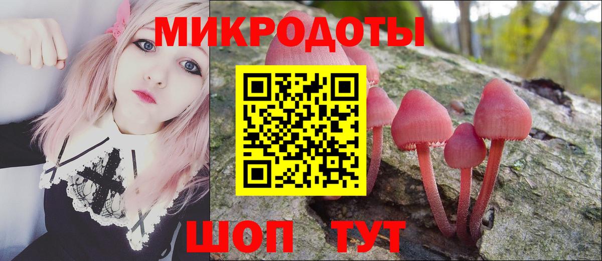 Псилоцибиновые грибы мицелий  Вход с VPN  Псилоцибиновые грибы Psilocybe  Канск 