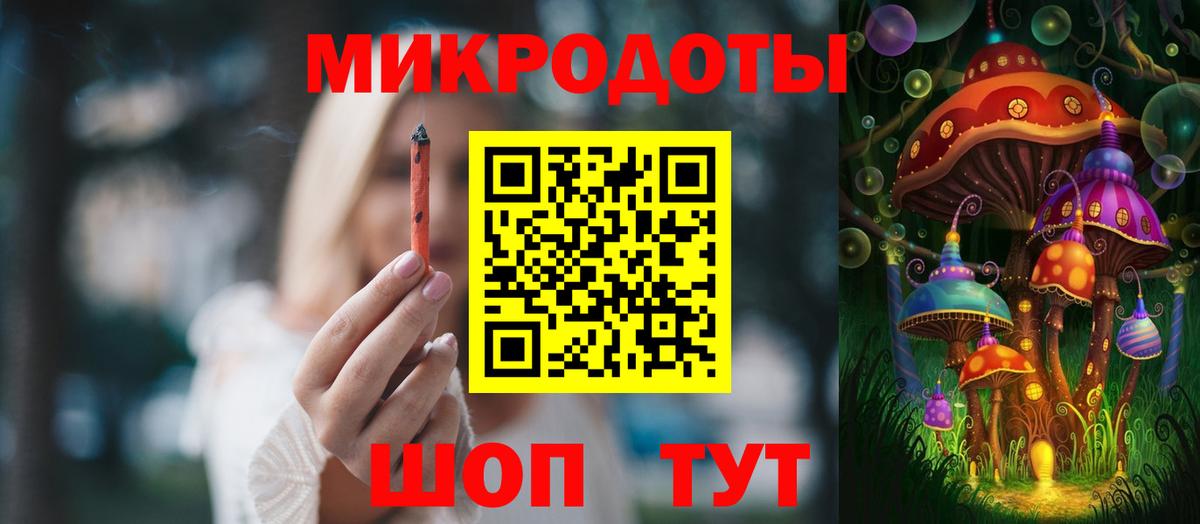 Псилоцибиновые грибы Cubensis Канск